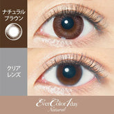 EverColor 1 Day Natural Brown 日拋美瞳隱形眼鏡(20片)